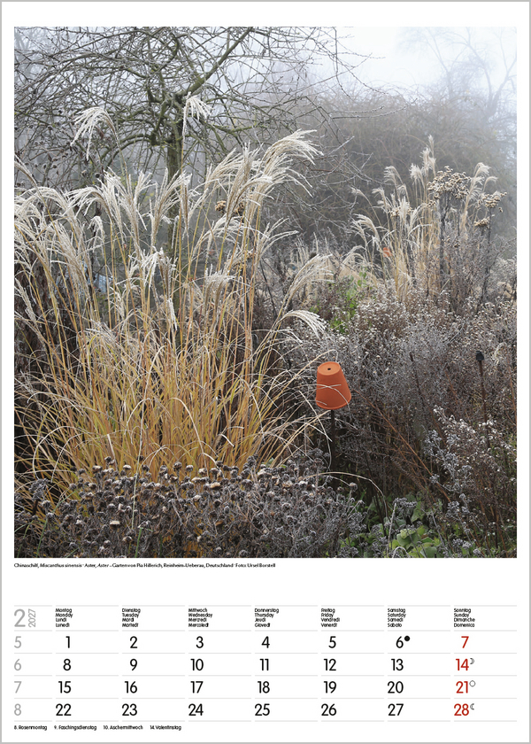 Weitere Ansicht: Gartenträume 2027