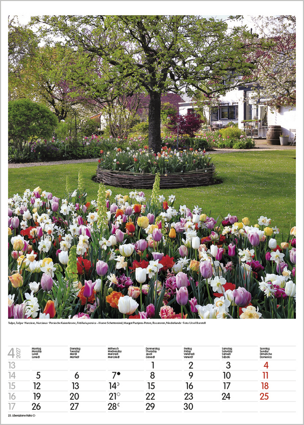 Weitere Ansicht: Gartenträume 2027