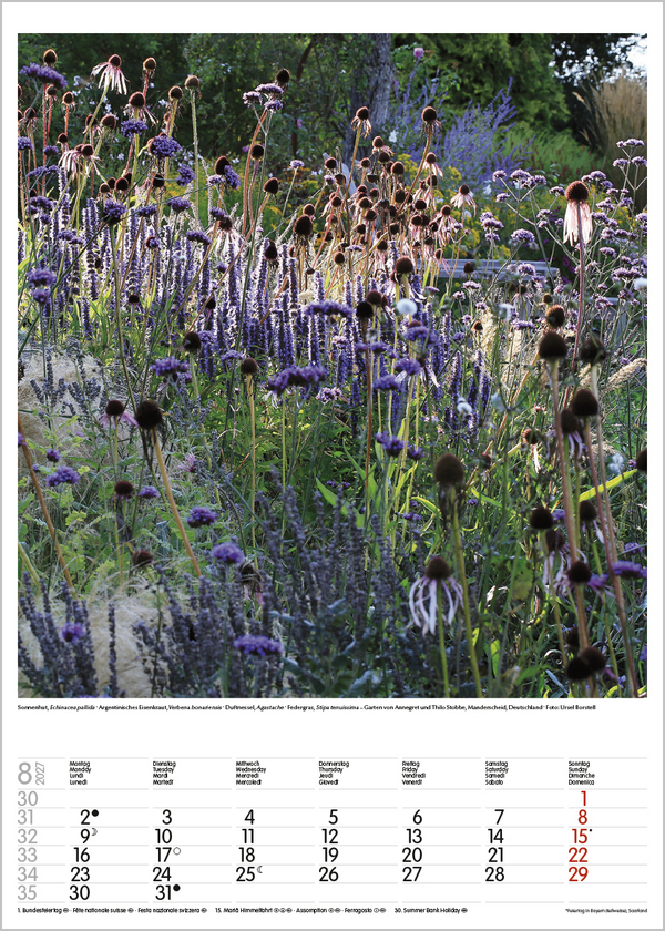 Weitere Ansicht: Gartenträume 2027