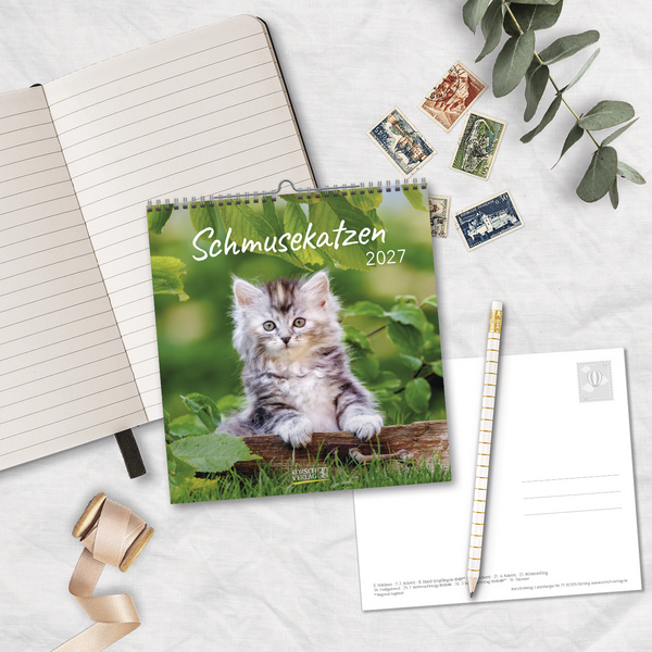 Weitere Ansicht: Schmusekatzen 2027