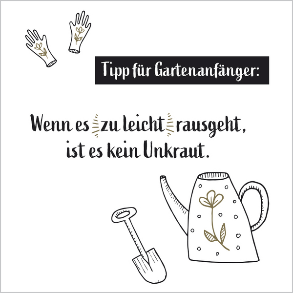 Weitere Ansicht: Visual Words 2027