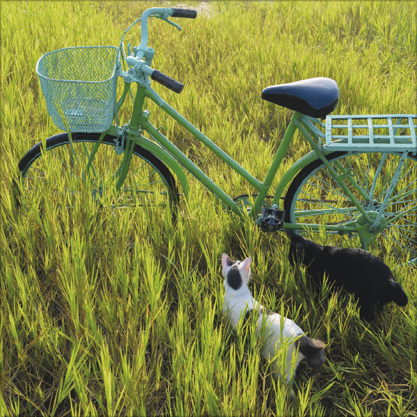 Weitere Ansicht: Bike Love 2027