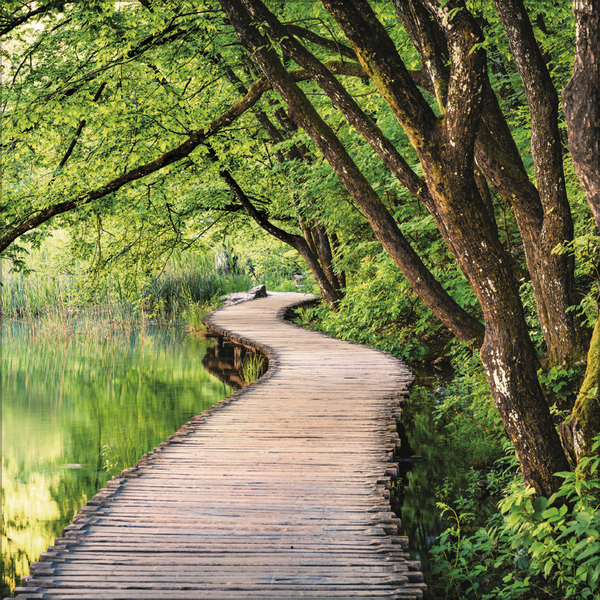 Weitere Ansicht: Magische Wälder 2027