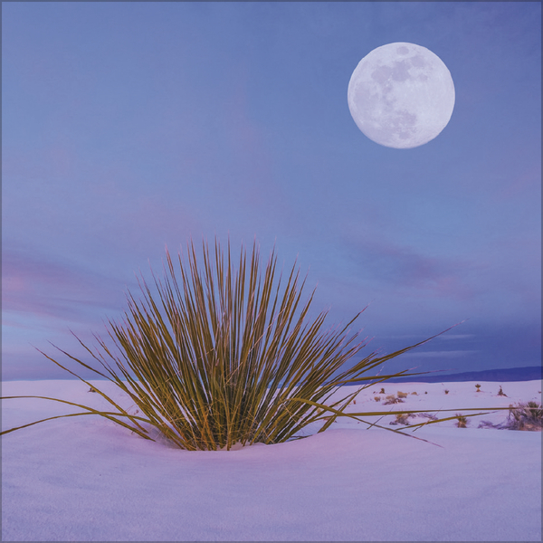 Weitere Ansicht: Der große Mondplaner 2027