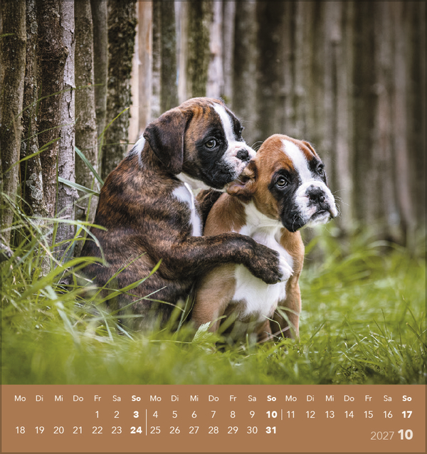 Weitere Ansicht: Hunde 2027