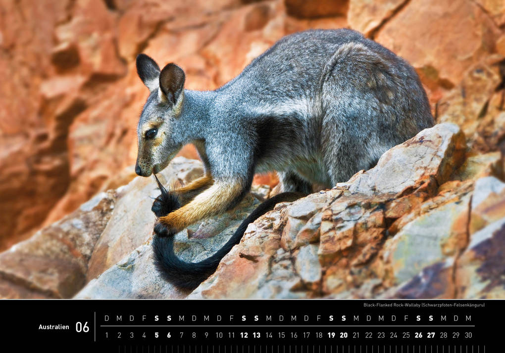 Weitere Ansicht: Australien Premiumkalender 2027