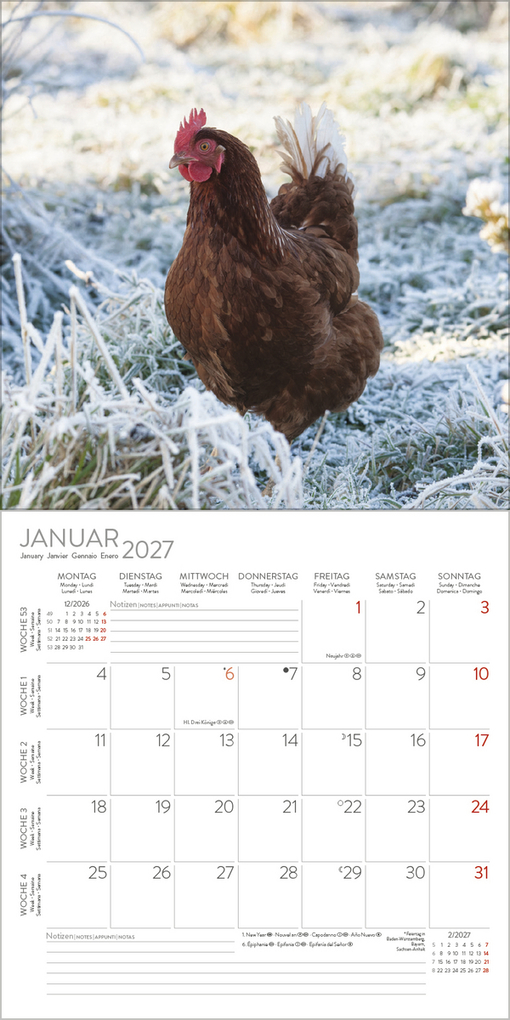 Weitere Ansicht: Hühner 2027