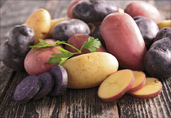 Weitere Ansicht: Küchenkalender 2027