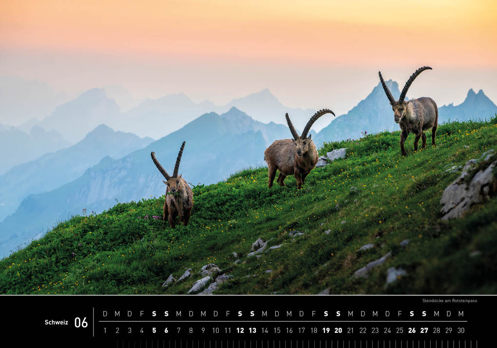 Weitere Ansicht: Schweiz Premiumkalender 2027