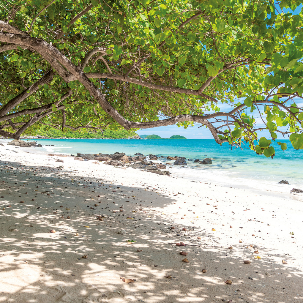 Weitere Ansicht: Trauminseln / Dream Islands 2027