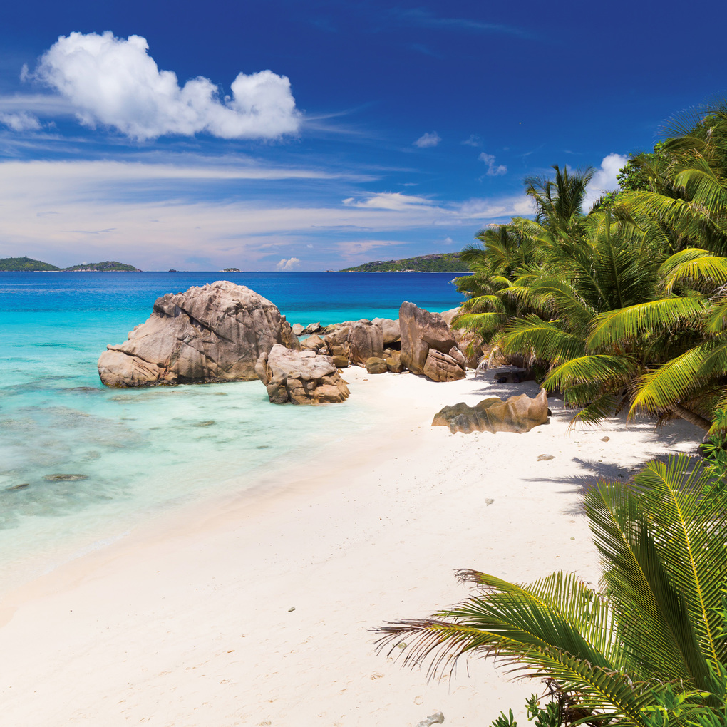 Weitere Ansicht: Trauminseln / Dream Islands 2027