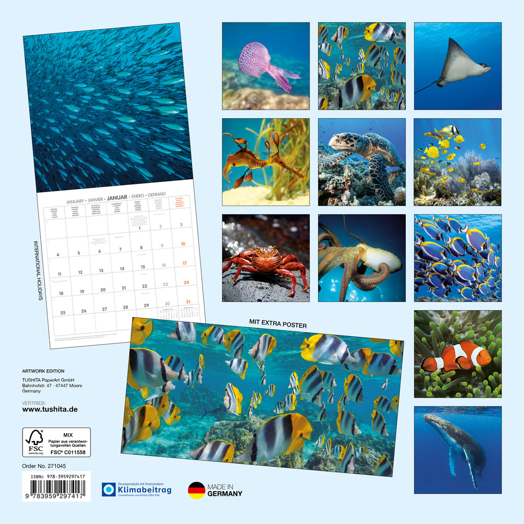 Weitere Ansicht: Meerestiere / Sea Creatures 2027