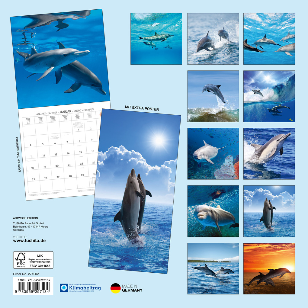 Weitere Ansicht: Delfine / Dolphins 2027