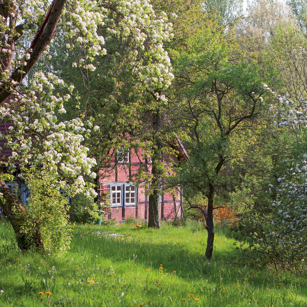 Weitere Ansicht: Bauerngarten / Cottage Garden 2027