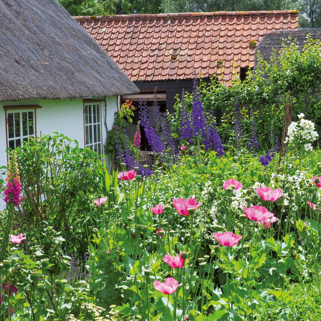 Weitere Ansicht: Bauerngarten / Cottage Garden 2027