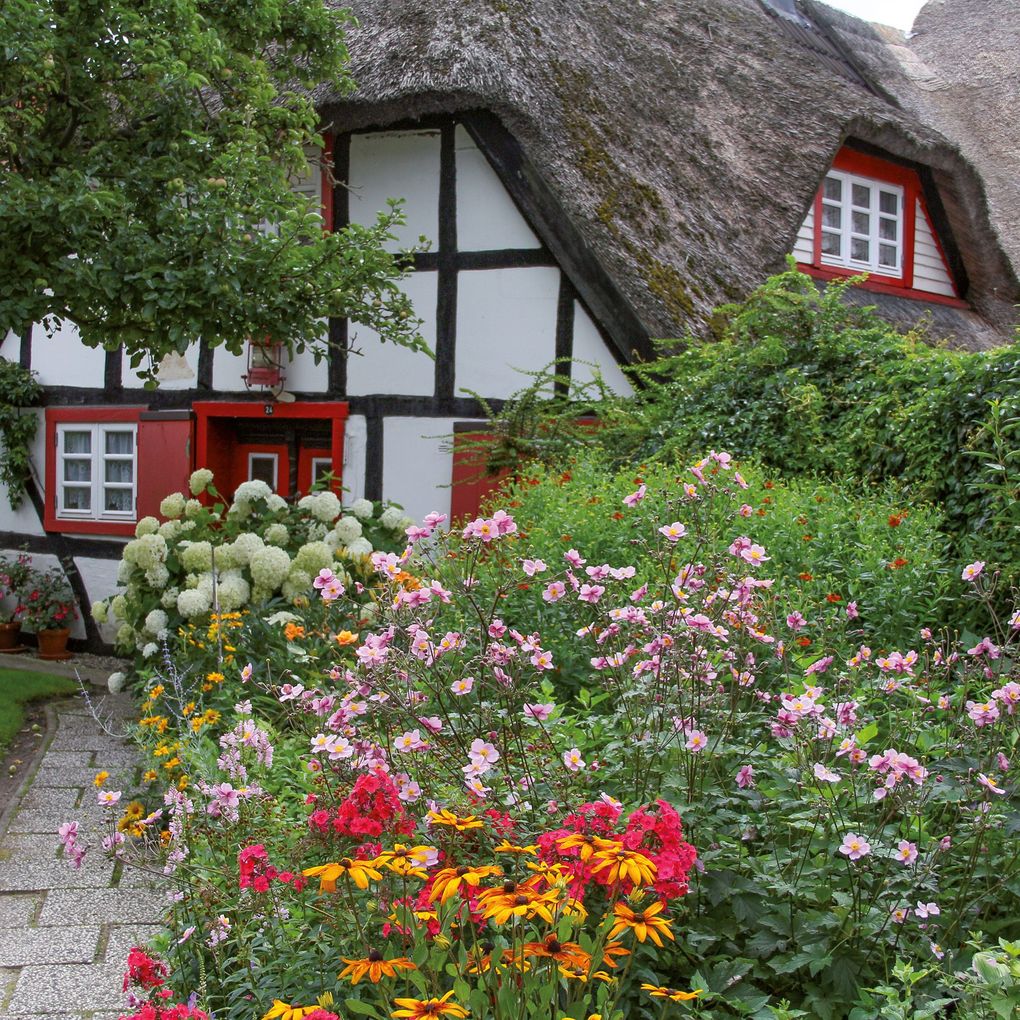 Weitere Ansicht: Bauerngarten / Cottage Garden 2027