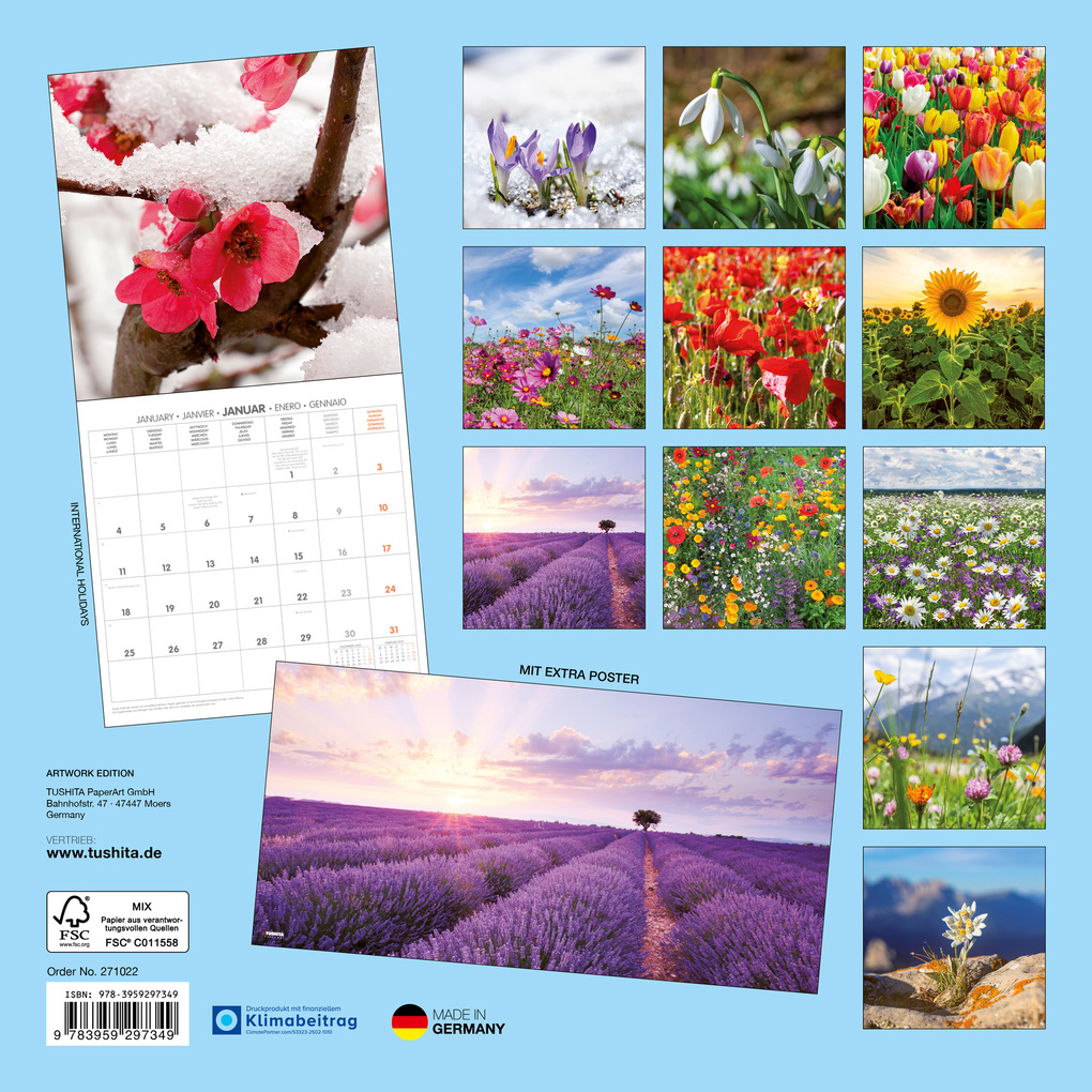 Weitere Ansicht: Blumen / Flowers 2027