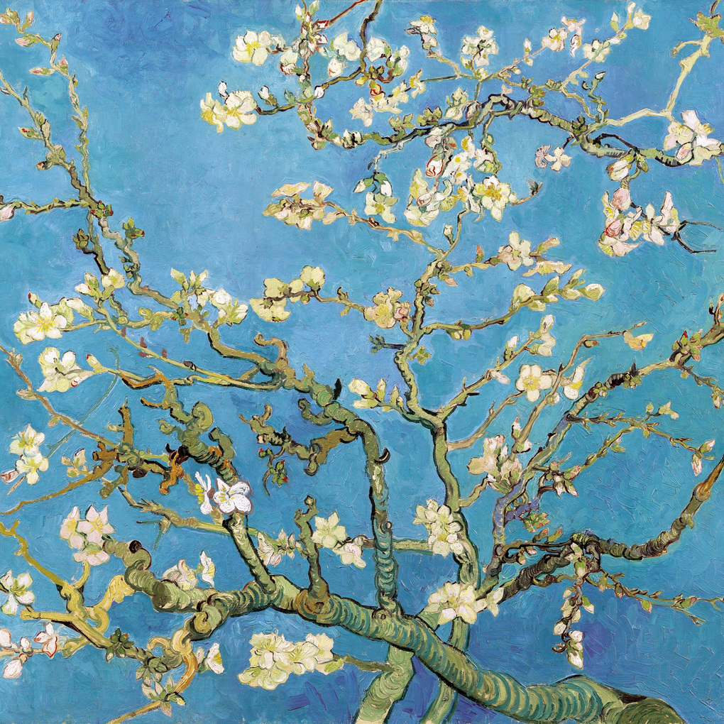Weitere Ansicht: Vincent van Gogh 2027