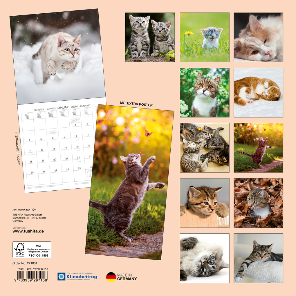 Weitere Ansicht: Katzen / Cats 2027