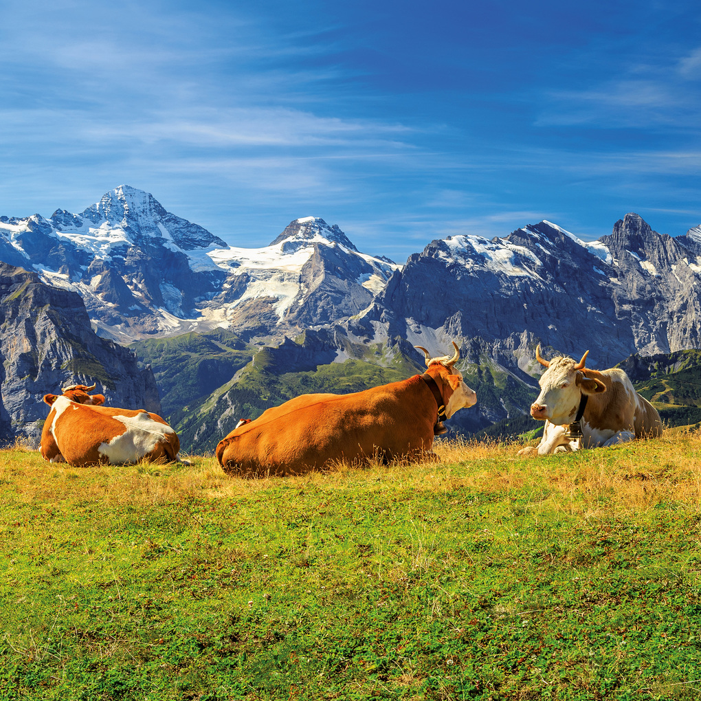 Weitere Ansicht: Alpen / Alps 2027