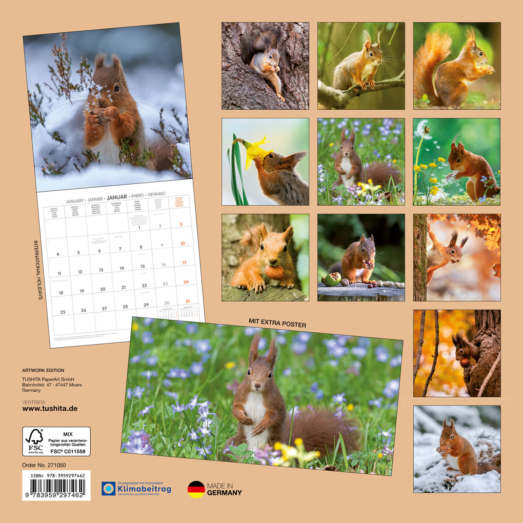 Weitere Ansicht: Eichhörnchen / Squirrels 2027