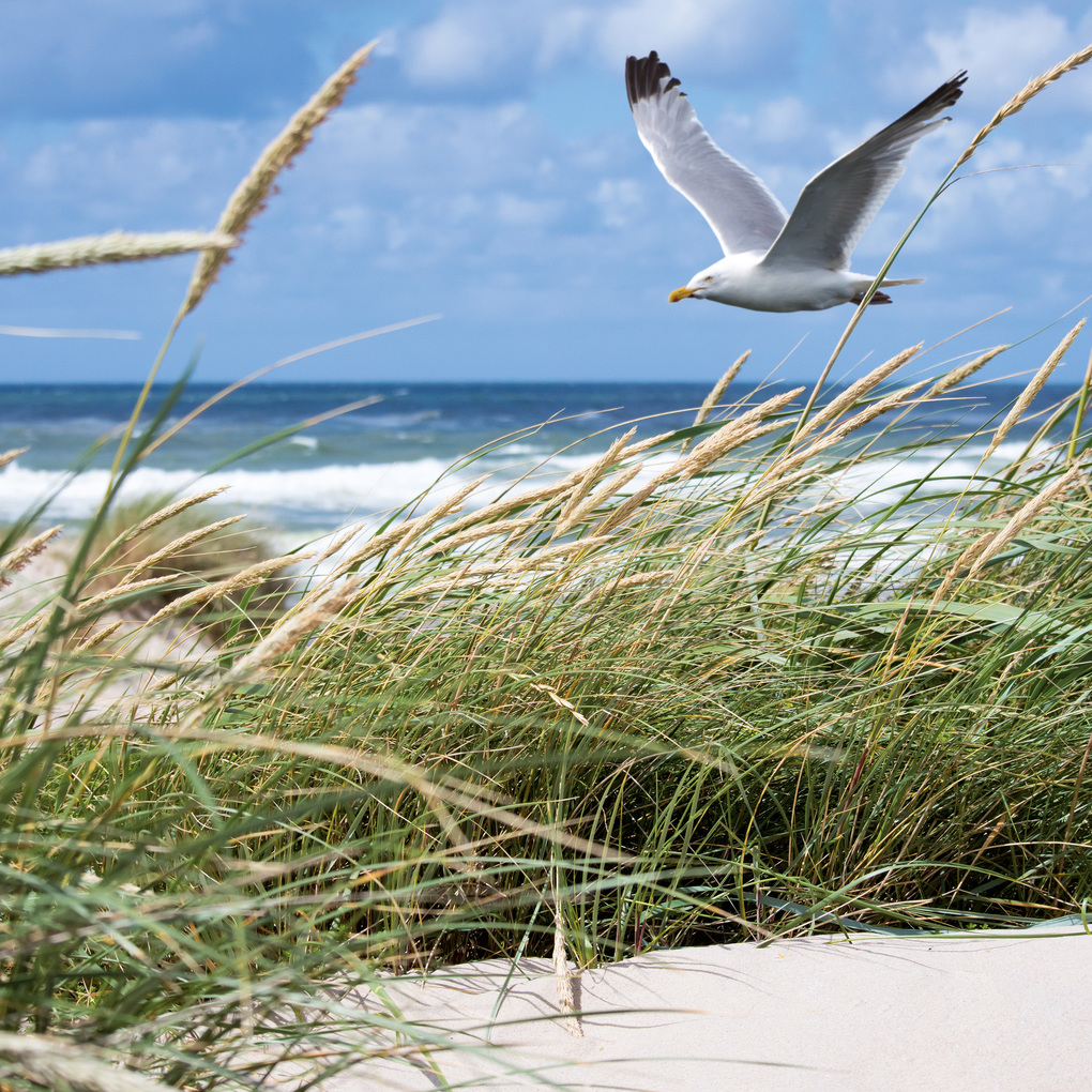 Weitere Ansicht: Nordsee / Northern Sea 2027