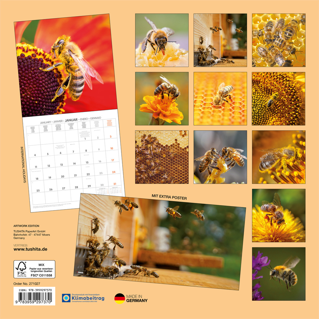 Weitere Ansicht: Bienen / Bees 2027