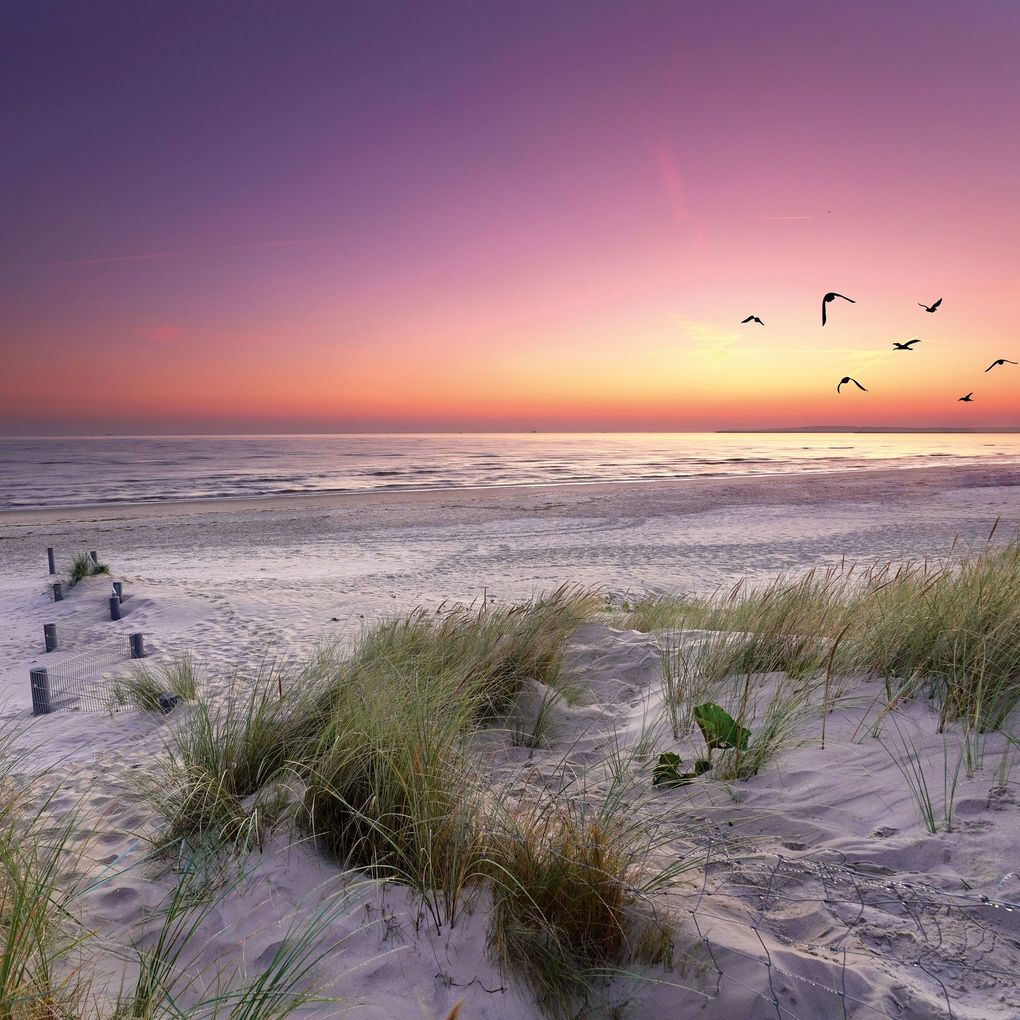 Weitere Ansicht: Strand und Meer / Beach and Sea 2027