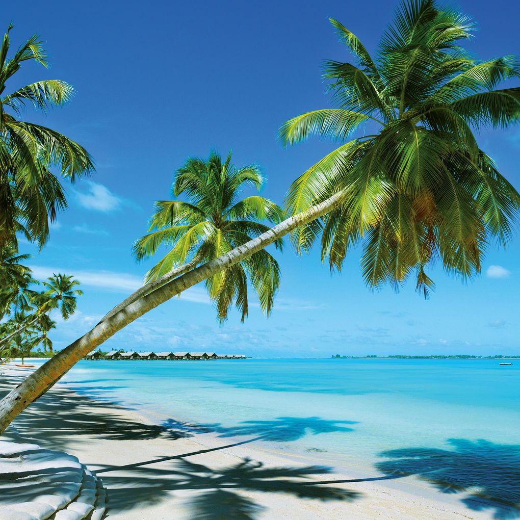 Weitere Ansicht: Strand und Meer / Beach and Sea 2027