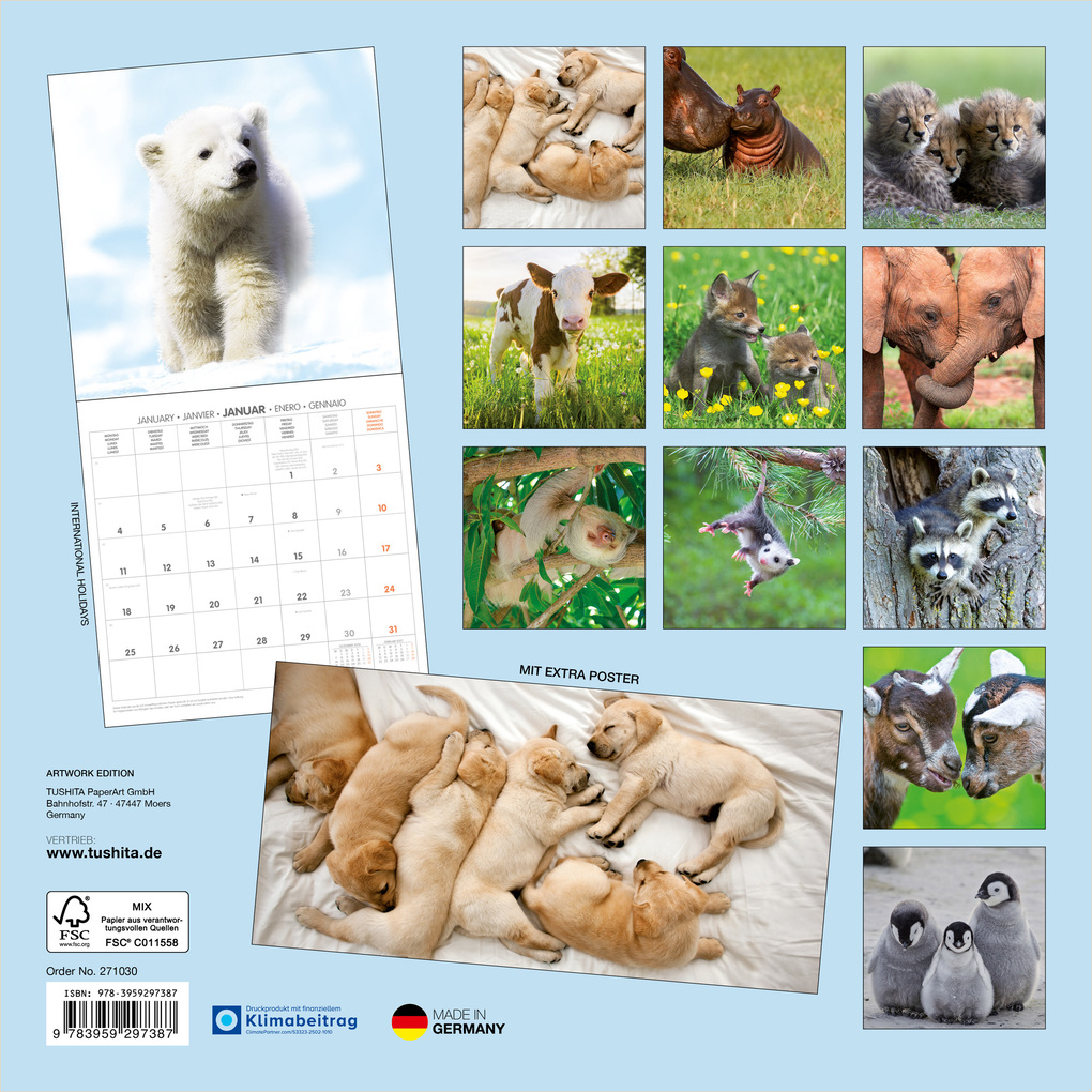 Weitere Ansicht: Tierbabys / Baby Animals 2027