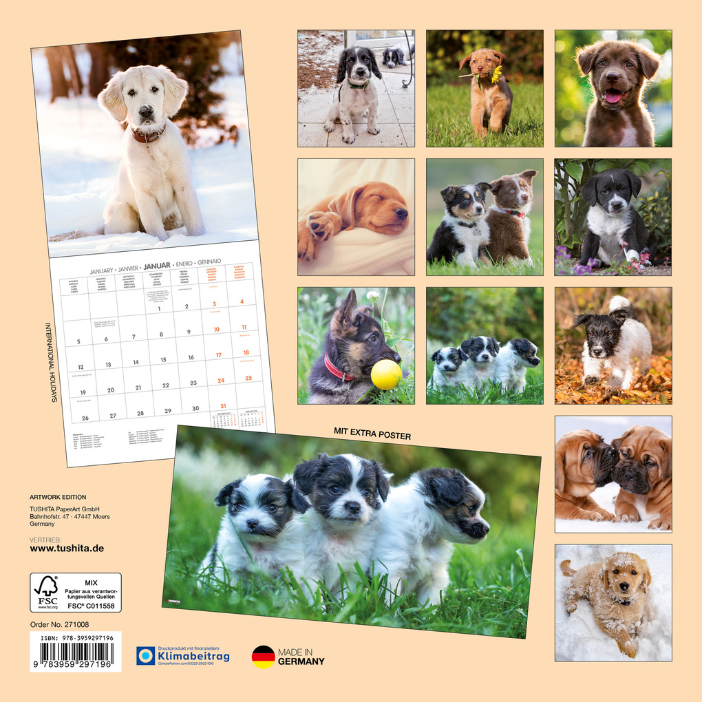 Weitere Ansicht: Hundewelpen / Puppy Dogs 2027