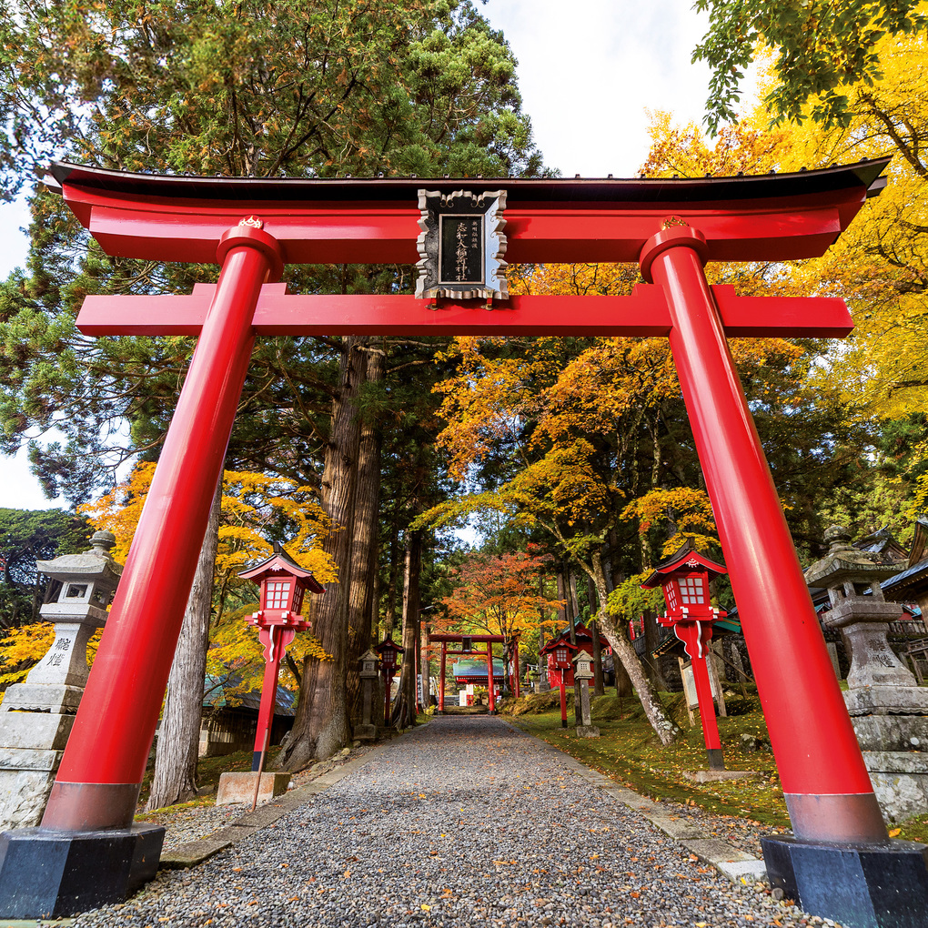 Weitere Ansicht: Inside Japan 2027