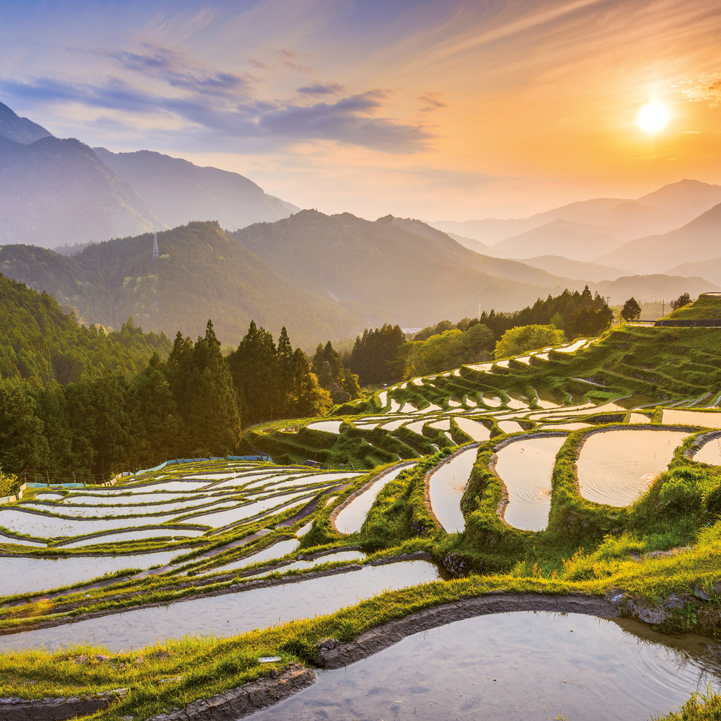 Weitere Ansicht: Inside Japan 2027