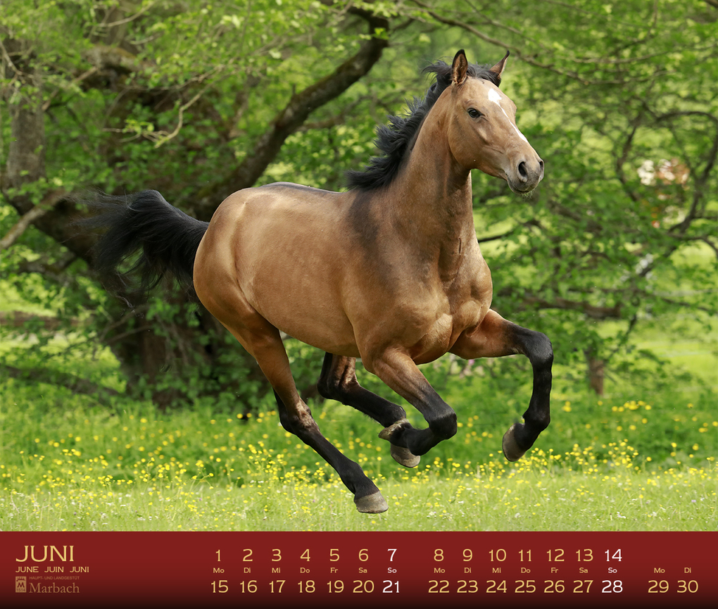 Weitere Ansicht: Marbach 2027