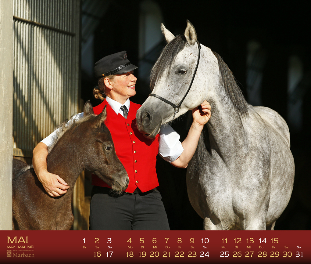 Weitere Ansicht: Marbach 2027