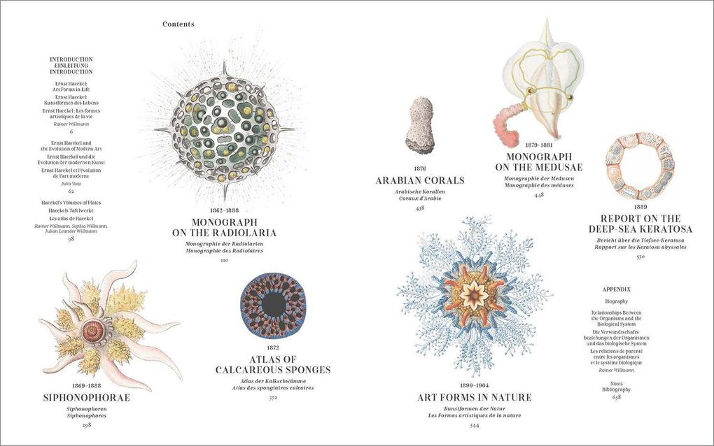 Weitere Ansicht: The Art and Science of Ernst Haeckel | Julia Voss, Rainer Willmann
