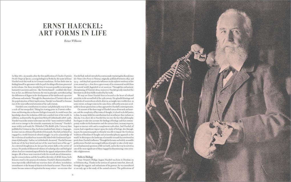 Weitere Ansicht: The Art and Science of Ernst Haeckel | Julia Voss, Rainer Willmann