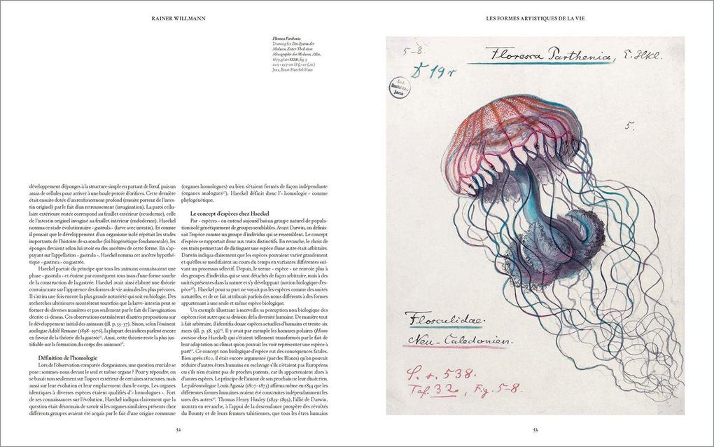 Weitere Ansicht: The Art and Science of Ernst Haeckel | Julia Voss, Rainer Willmann