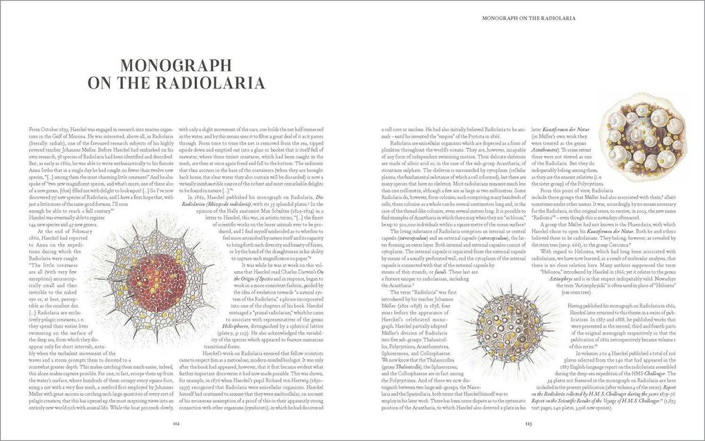 Weitere Ansicht: The Art and Science of Ernst Haeckel | Julia Voss, Rainer Willmann