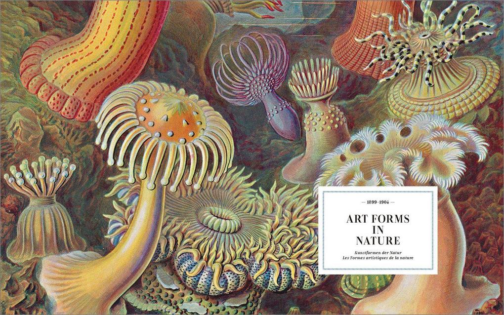 Weitere Ansicht: The Art and Science of Ernst Haeckel | Julia Voss, Rainer Willmann