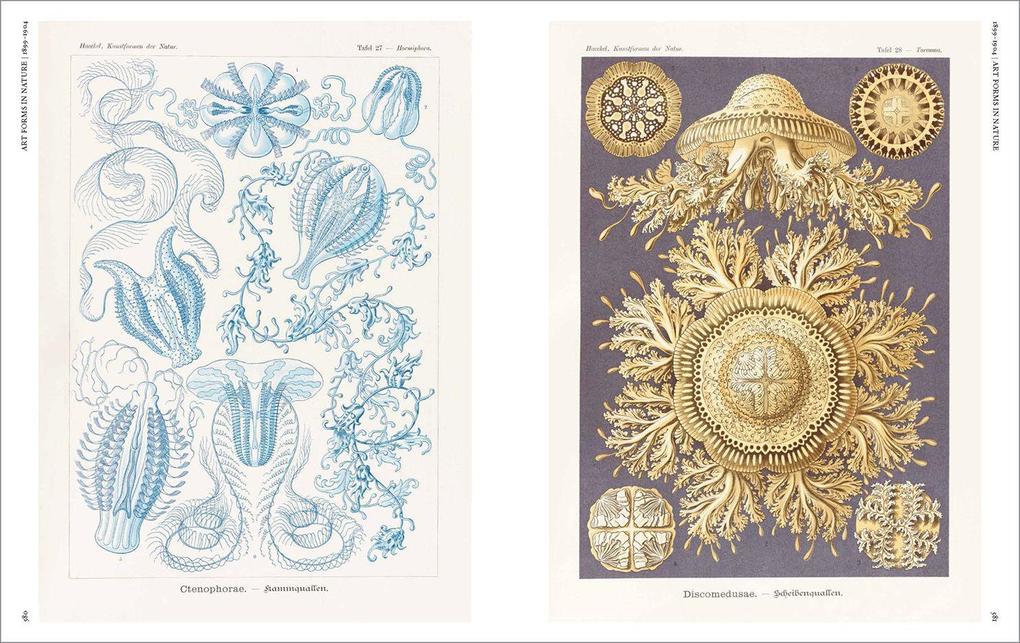 Weitere Ansicht: The Art and Science of Ernst Haeckel | Julia Voss, Rainer Willmann