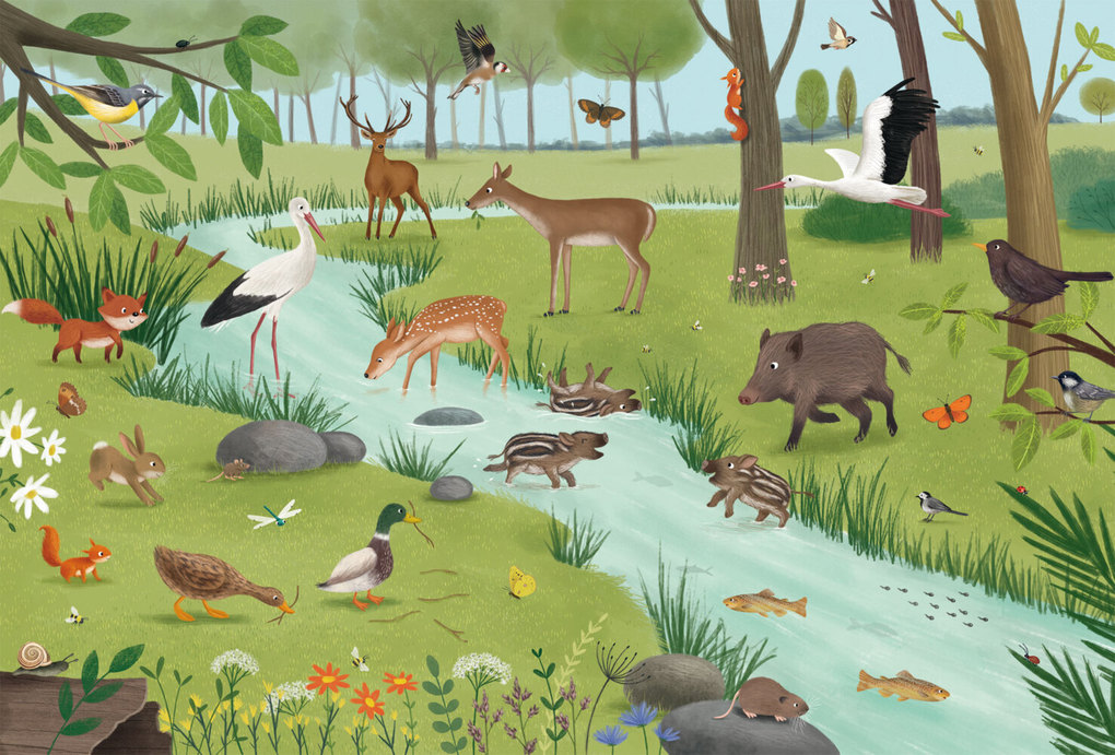 Weitere Ansicht: Wald & Wiesentiere