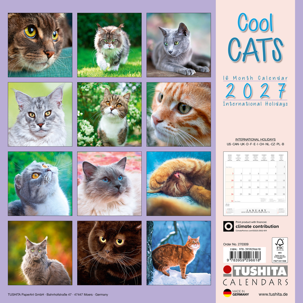 Weitere Ansicht: Cool Cats 2027