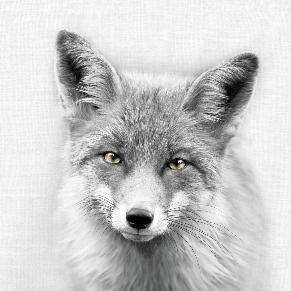 Weitere Ansicht: Animal Portraits 2027