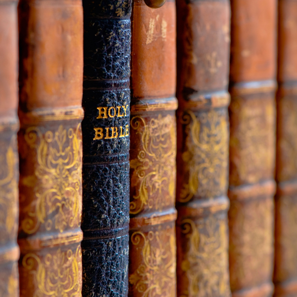 Weitere Ansicht: The Culture of Books 2027
