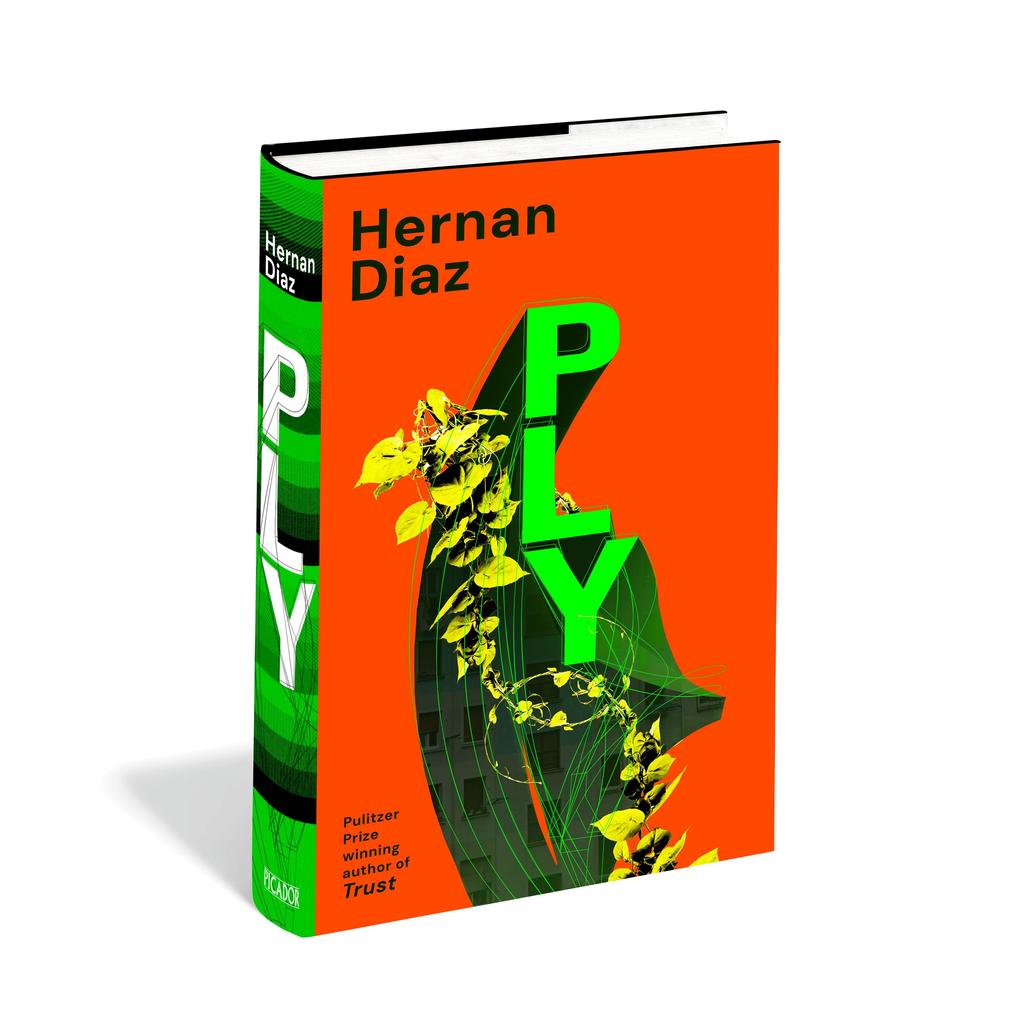 Weitere Ansicht: Ply | Hernan Diaz