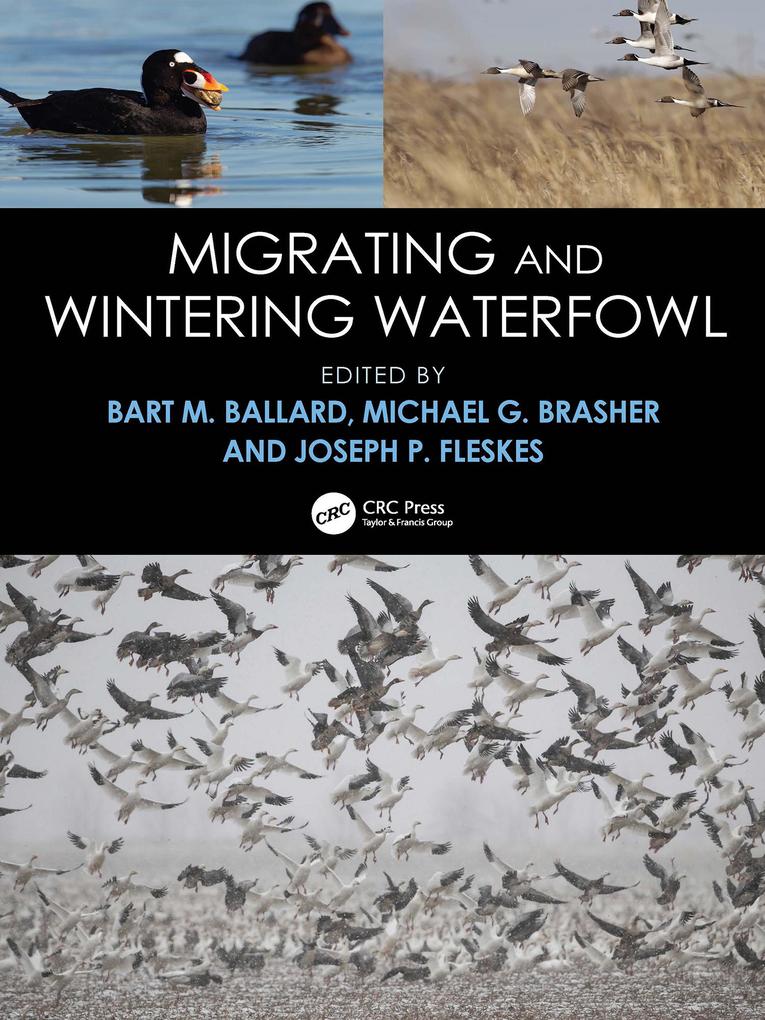 Produktbild: Migrating and Wintering Waterfowl