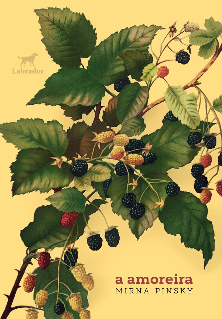 Produktbild: A amoreira | Mirna Pinsky
