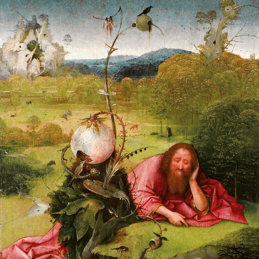 Weitere Ansicht: Hieronymus Bosch 2027