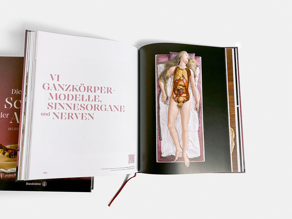 Weitere Ansicht: The Beauty of Anatomy